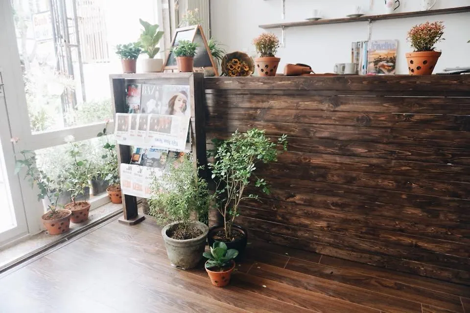 Starry Night Hostel Da Nang